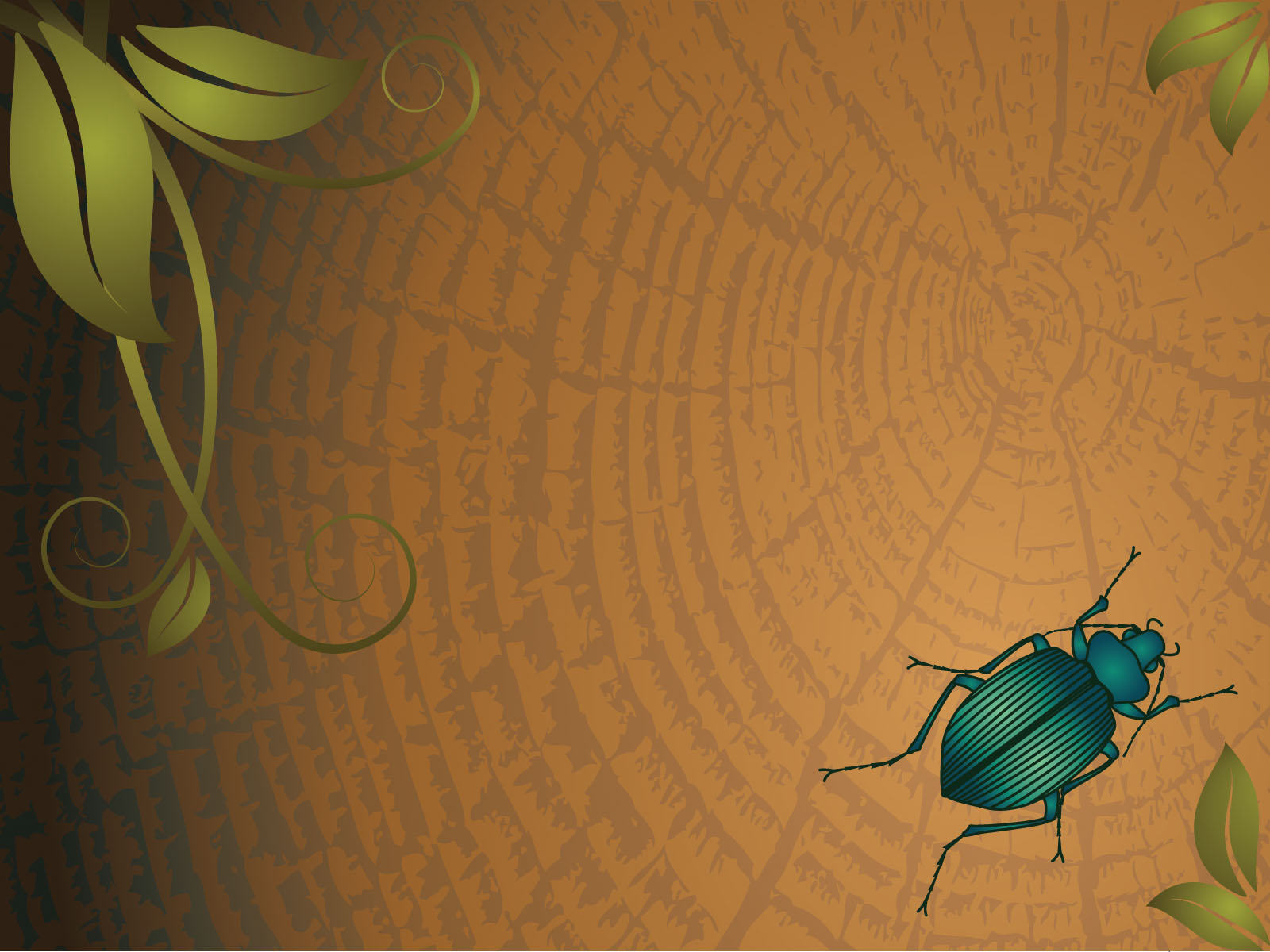 A Wood Bug Backgrounds